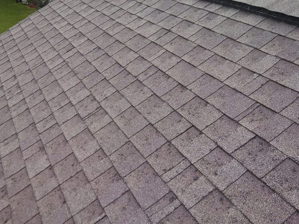 ROOF ISSUES Orlando Roofing Company Castle Roofing Group