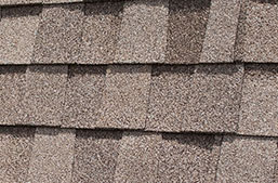 shingle roof cost