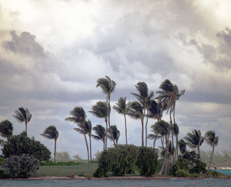 hurricane