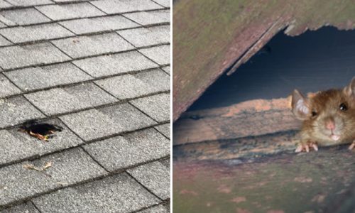 How-to-Patch-a-Hole-in-the-Roof