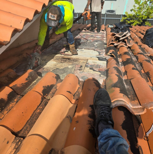 roof-repair-CHvCqOA9